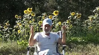 Mirkli pirms rudens. Ideja par 14.septembra festivālu. Gribi dzīvot laukos?