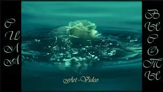 Тіна Кароль "Сила высоты" (Art-Video)