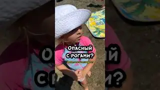 Кто это такой? #дочка #папа #семейныйюмор