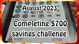 Savings Challenge Stuffing  Complete #nosinkingfundsaugust