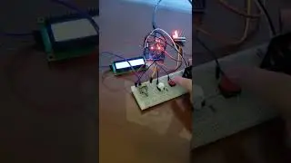 Embedded Paint