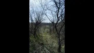 Пробуждение природы.