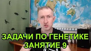 Задачи по генетике - 9. Множественный аллелизм