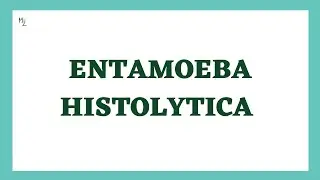 Entamoeba histolytica life cycle | morphology | Laboratory diagnosis | full explained | medzukhruf