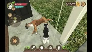 История щенка, который потерялся и нашёлся  Dog sim