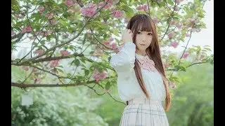 【麦麥籽】恋空予报❤ 樱花树下的告白