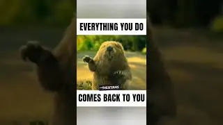 Everything you do comes back to you 💘#shorts #viral