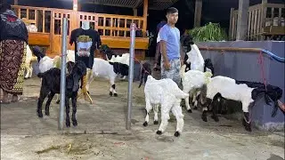Etawa senduro channel sedang live sekarang 16 agustus 2024