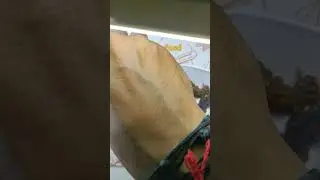 Lakh Kachli (Pipals) - Lakh Pipal - Lakh Peepal - लाख पिपल - Ficus religiosa