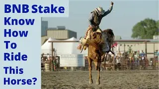 BNB Stake Review | Wild Ride Explained