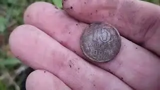 В лес на тихую охоту ...