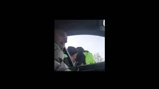 шторки и тонировка
