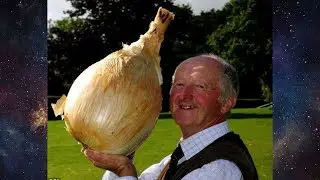 Top 10 Vegetales Gigantes