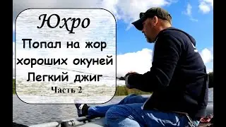 Юхро . Попал на жор хороших окуней. Часть 2