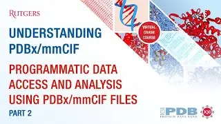 Programmatic data access and analysis using PDBx/mmCIF files, Part 2