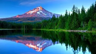 Relaxing Music for Reading | Study and Focus Music