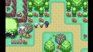 I finally get some answers Pokemon Odyssey