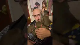 Люся и Степка борются за Влада)