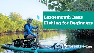 Largemouth Bass Fishing for Beginners