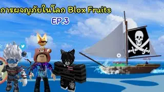 เสียเงิน 39,xxx$ เพื่อสุ่มผล!! | Blox Fruits #3