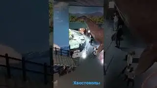 Хвостоколы🦋