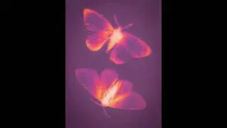 [FREE FOR PROFIT] *GUITAR* Juice WRLD Type Beat 2024 - "new person"