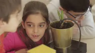 FLORMIGA: Apresentação
