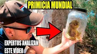 ATRAPAN 1 DUENDE EN UN BOTE (VIDEO VIRAL) | Laguna Negra