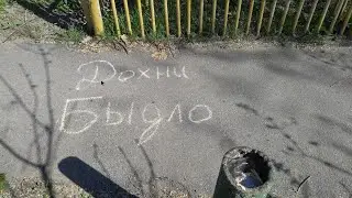 Матерюсь, много мата, просто грязная ругань, мат.