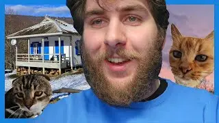 Мы поехали в горы (и встретили котиков)