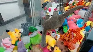 😳САМАЯ ТОПОВАЯ ПОБЕДА НА КАНАЛЕ🔝Борьба с аппаратам Хватайка за ОГРОМНОГО ДИНОЗАВРА🦖Играем👍