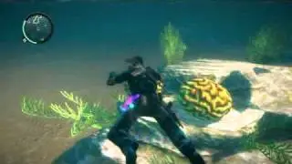 Underwater Testicles?