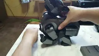 Кибернетическая дичь - пополнение зверинца Sony Aibo ERS-210