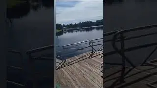 #shorts  Orlando além dos parques #orlando #vlogdeviagem #familyvlog