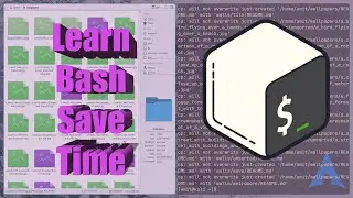 Why Bash is Worth Learning? A Practical Example! #bashscripting