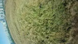 FPV Freestyle / 5인치