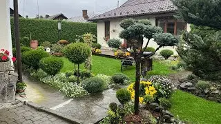 ФАЙНИЙ ПРИКАРПАТСЬКИЙ ДВІР. Поблизу ГІР.