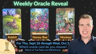 Weekly Oracle Reveal 🔮✨ | Tarot Reading for September 26 to October 2 | Elliot Oracle 🐇 🐝 🐒