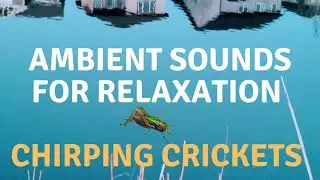 AMBIENT CRICKET CHIRPING SOUNDS FOR RELAXATION