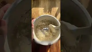 ДОМАШНИЙ ПИТОМЕЦ: ДРОЖЖИ 🤯