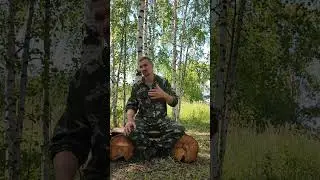 Чему должны учить ещё со школы, но не учат