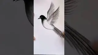 Draw a sparrow drawing