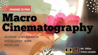 Macro cinematography | An iPhone 13 Pro enhanced with an APEXEL 100mm Macro Lens