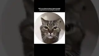 мне кажется, так делаем все мы