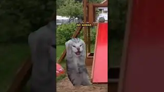 Гении поймут 🤫 