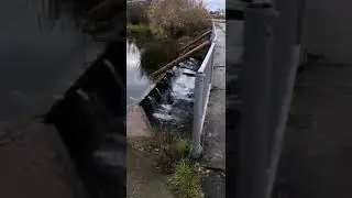 Титаник)