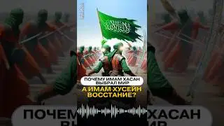 Почему Имам Хасан выбрал мир, а Имам Хусейн восстание? 