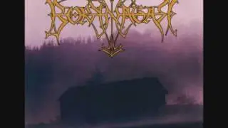 Borknagar - Ved Steingard (Borknagar -1996)