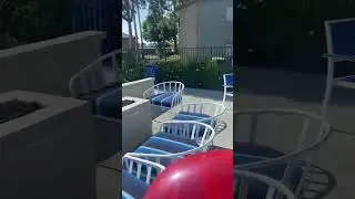 Bro is NOT Kobe Bryant 