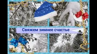 Совместный проект 